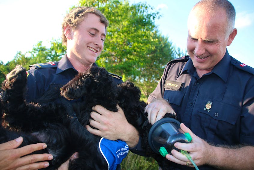 Valley-Kemptown Fire Brigade members Spencer Maskill, left, and Steve McEvoy try a pet oxygen mask on Winston, a Bernese Mountain dog-poodle cross.