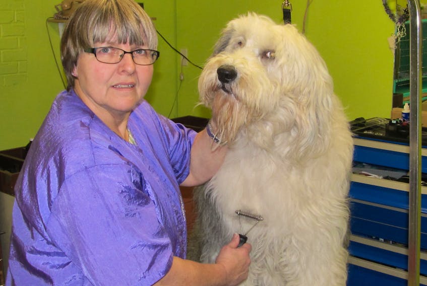 Darlene Westhaver with Molly, an Old English Sheepdog.
Submitted