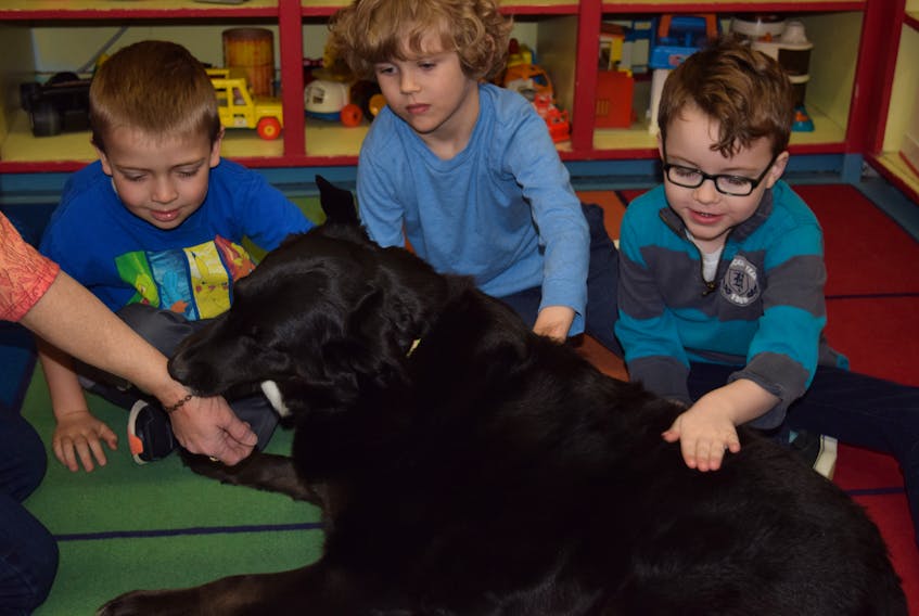 Murphy has become a fixture at Making Friends Preschool. The rescue dog keeps close watch on the children and also helps them get comfortable with being around canines. Photo - Ben Forrester