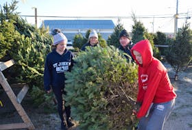 Choosing a tree is a favourite part of Christmas for the Cameron family. From left: Julia, Denise, Scott and Alexa Cameron. FRAM DINSHAW/TRURO NEWS