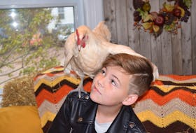 Young Quentin Henderson brought his therapy chicken, Chi, to the Fall Family Festival.