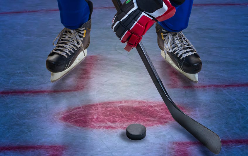 The East Coast Senior Hockey League players are sharpening their skates for a new season.