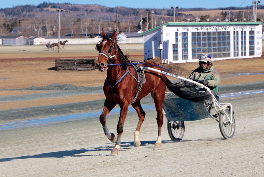 Horses were jogging in the sunshine at Truro Raceway on Friday.