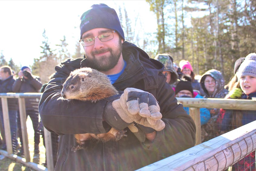 Park attendant Jarrett Lewis scooped up Two Rivers Tunnel after the resident groundhog predicted another six weeks of winter on Saturday.