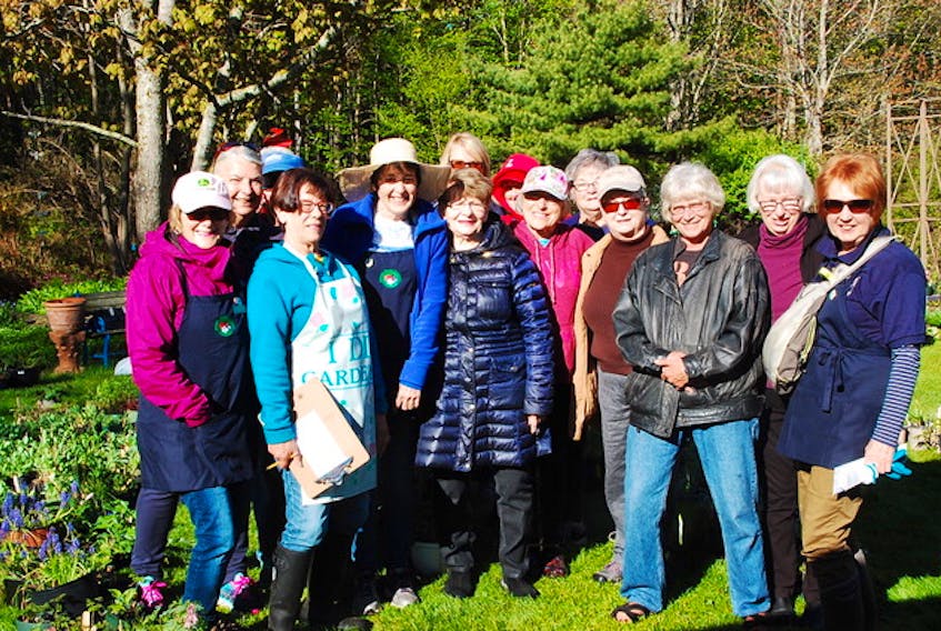 Members of the Westmount Garden Club are shown. The club consists of 29 members, including two lifetime members, three master gardeners and one horticultural judge. Besides community beautification, its mission is to educate and spread information to other home gardeners.