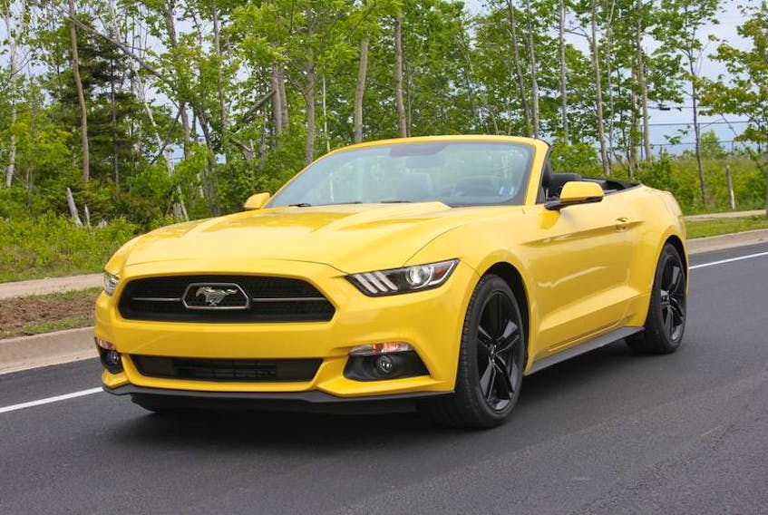 The 2015 Mustang 5.0 was available with a variety of engine options, including the popular five-litre V8 available in both the coupe and convertible; manual or automatic transmissions were available.