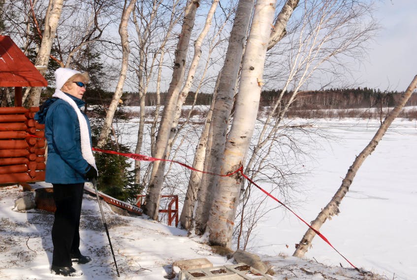 Jane Janes surveys the eroding riverbanks in her backyard in Deer lake for the first time Tuesday.