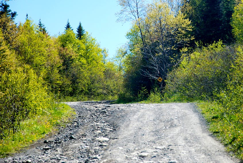 A Benoit’s Cove resident was killed in an all-terrain accident on Logger School Road Thursday night. This is one of the frequently used woods roads in Benoit’s Cove that all-terrain vehicle operators use to connect to Logger School Road.