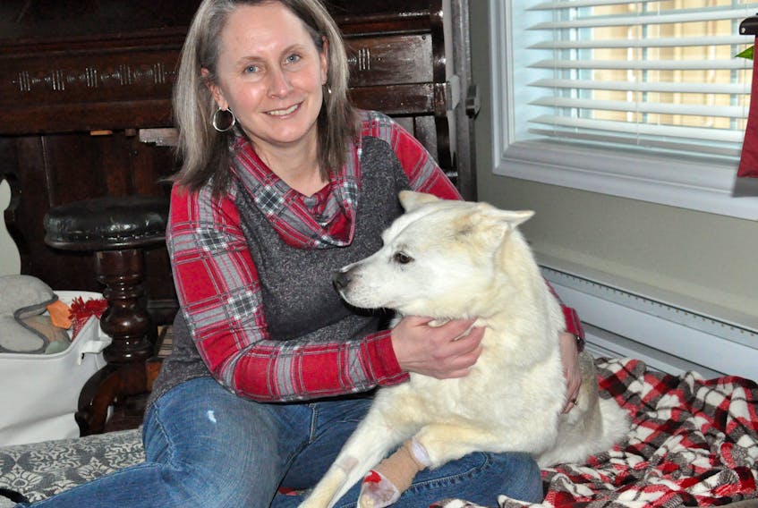 Paula Jacobs and Molly, a dog she is fostering for the Southwest Coast SPCA. Molly lost toes in a fox trap.