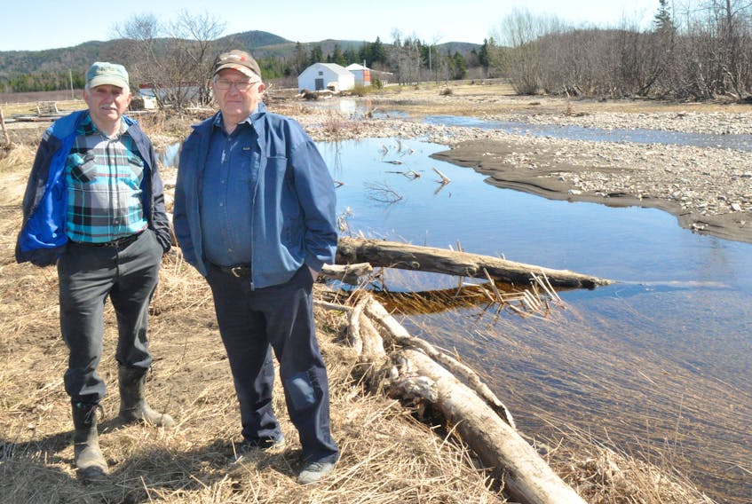 Louis and Don White, two brothers who had their family farm flooded in January, stand next to a section of land where part of Warm Brook is running through it. The section was once a productive hayfield.