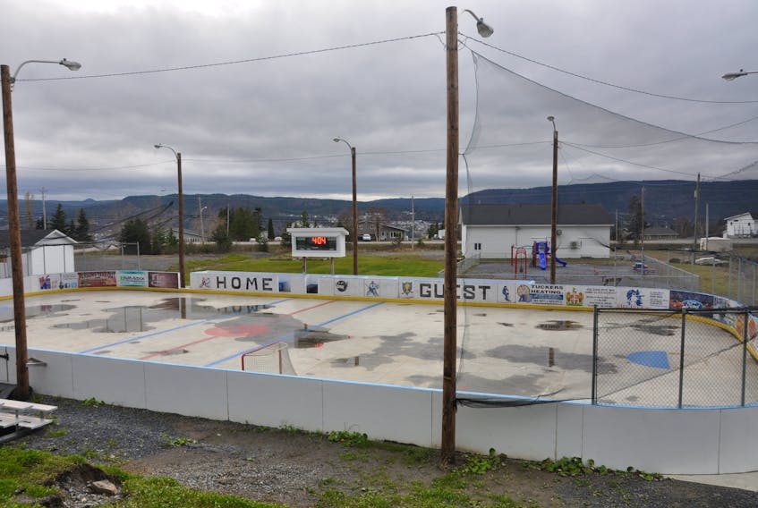 Meadows receives funding to erect roof over community rink