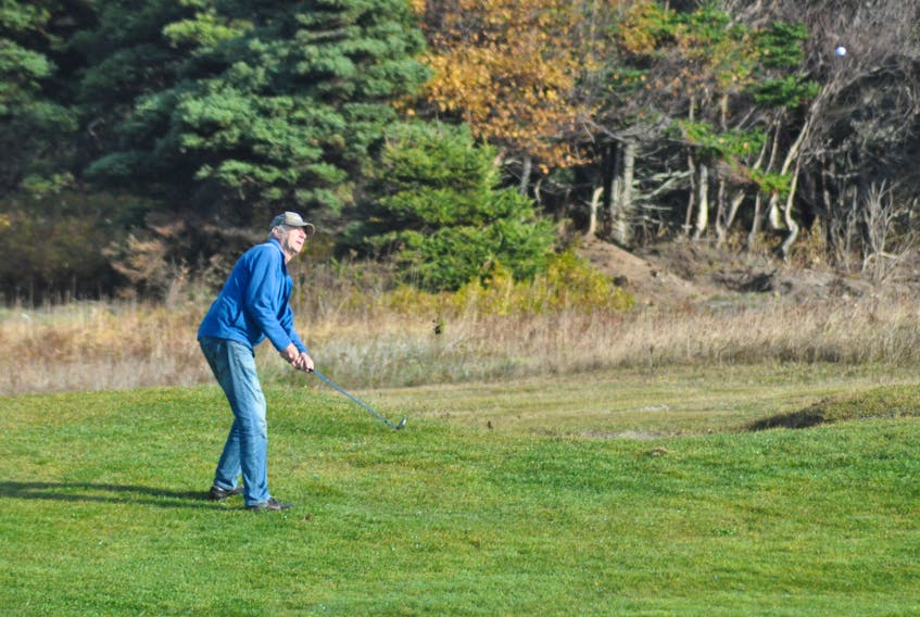 Don Cook of Stephenville watches his ball after taking a shot on the Hole 2 fairway today at Harmon Seaside Links during unseasonably warm temperatures that were in the high teens Celsius at the time.