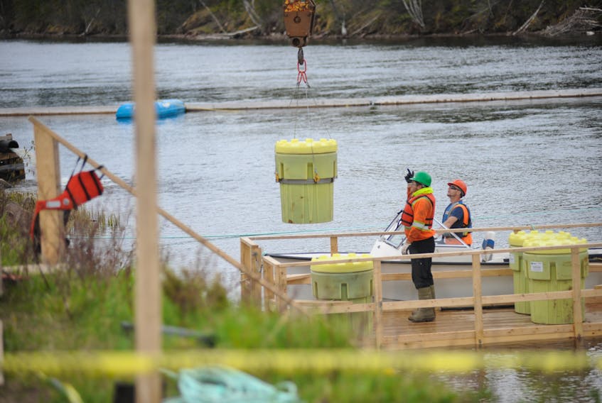A worker standing on a barge directs the crane boom operator to hoist one of the 55 barrels removed from the Deer Lake Canal earlier this week.
