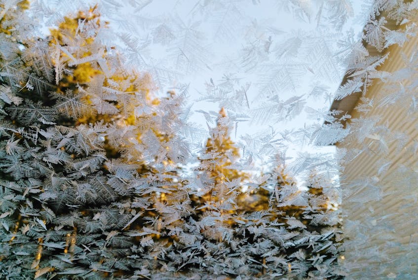 Fabulous fern frost!  Neil Matheson says he had never seen frost like this on his car before.  It likely had a lot to do with what he did to his car the night before.