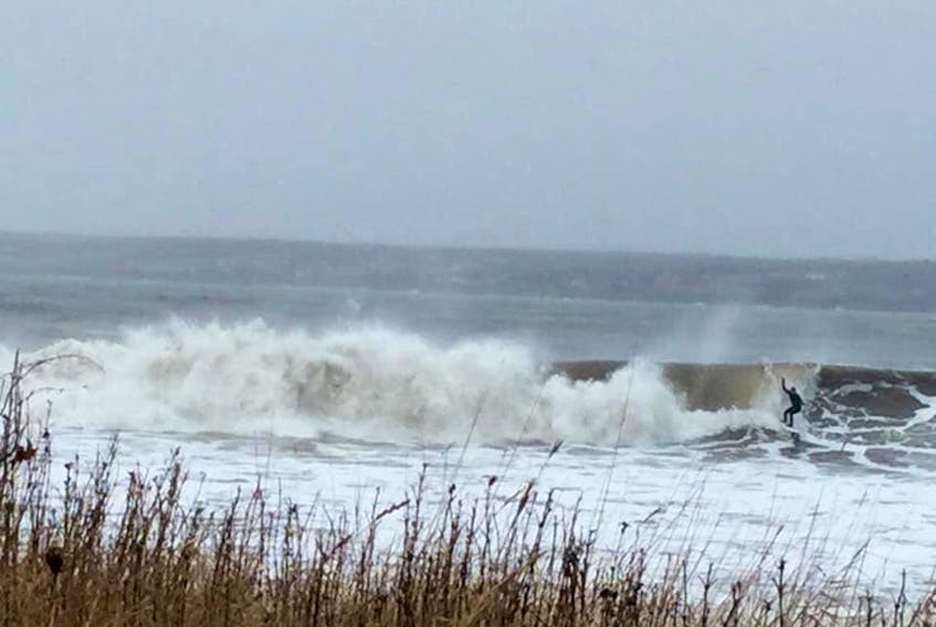 Surf’s up in Sydney – no, not Australia, but right here on Cape Breton Island. Strong winds and high waves in the wake of last week’s storm were just what local surfers were waiting for. I’m sure the water wasn’t warm, but this surfer had all the gear and looked to be having a blast. Ruth Boudreau snapped this photo at Indian Beach, off the Shore Road in North Sydney. She says the surfers were making the best of the waves.