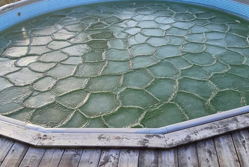 Most people are sad to see ice in their swimming pool, but Debbie Koehler of Sydney, N.S. wasn't. She was enthralled by the stunning pattern on the surface of her pool Tuesday morning and wondered what might have caused this wonderful work of art.