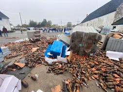 Dead lobster lays outside a lobster pound in West Pubnico, Yarmouth County Wednesday morning. Commercial fishermen said the dead lobster, which also included rotted lobster, was inside the facility. There were also some undersized and egg-bearing lobsters.