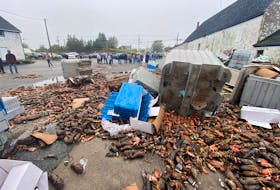 Dead lobster lays outside a lobster pound in West Pubnico, Yarmouth County Wednesday morning. Commercial fishermen said the dead lobster, which also included rotted lobster, was inside the facility. There were also some undersized and egg-bearing lobsters.