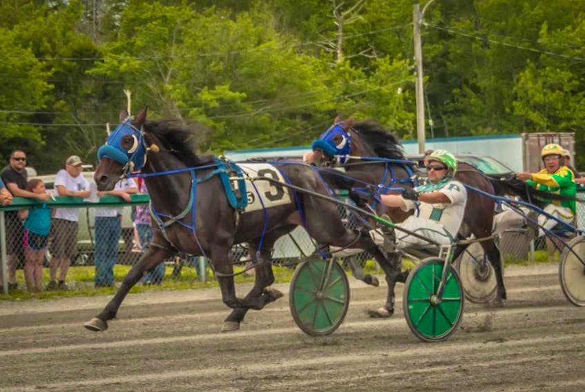 Wildcat Jet, No. 3, left, is shown winning the JA Ferguson elimination, first division race, Saturday at Northside Downs in North Sydney. Accelerator and driver Greg Sparling are shown trailing.