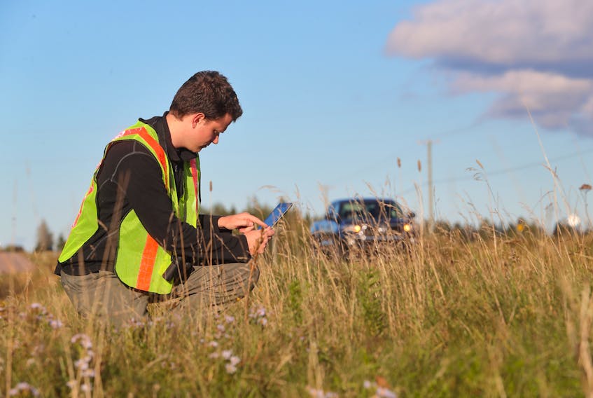 Nature Conservancy of Canada volunteer Adam Cheeseman uses an iPad to track wildlife along a highway in the Isthmus of Chignecto last summer as part of the Wildpaths Maritimes Project.
