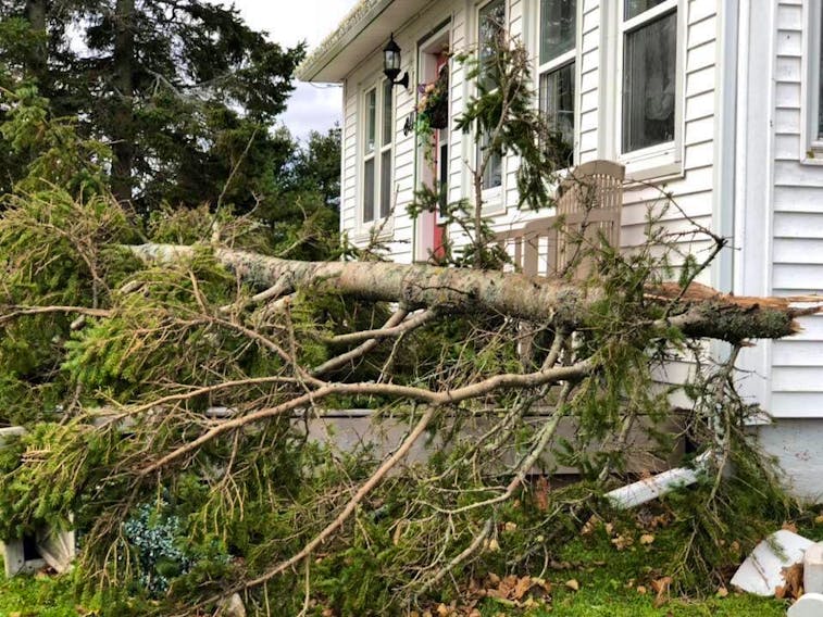 Wind gusting to more than 100 km/h toppled several trees and knocked power out to more than 8,000 Nova Scotia Power customers overnight Saturday and into Sunday morning. This home in Brookdale had a tree fall on its deck. - Karen Morehouse photo