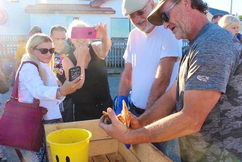 Shucking scallops during a past Digby Scallop Days. FILE PHOTO