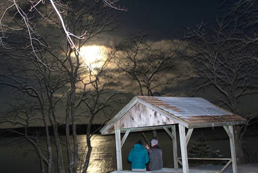A full-moon walk will take place at Ellenwood Park on Jan. 10 at 7 p.m.