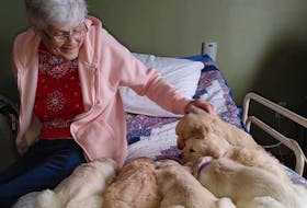 Ruth Gower doesn't mind sharing her bed with the six-week-old golden retriever puppies that arrived for a visit with Tideview Terrace residents on Feb. 12.   Christal Peck Photo