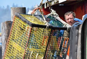 The 2019-2020 six-month lobster season in southwestern NS and the province's south shore has wrapped up. Here's a few images from Yarmouth County on the last day on May 31. TINA COMEAU PHOTO