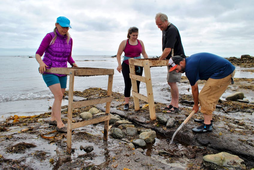 From left, Tanya Schnare, Jessica Munaittrick and Martin Hubley (curator of history for the Nova Scotia Museum) sifted through earth dug by archeologist John Campbell from one of the formations on The Hawk Beach containing rocks thought to be part of the manmade structure that has puzzled local residents for years.