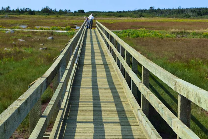 The Big Meadow Bog Boardwalk in Brier Island.
