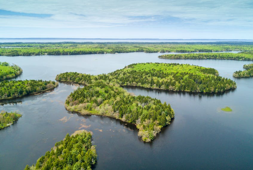 La Grande Ile Conservation Lands on Belliveau Lake.