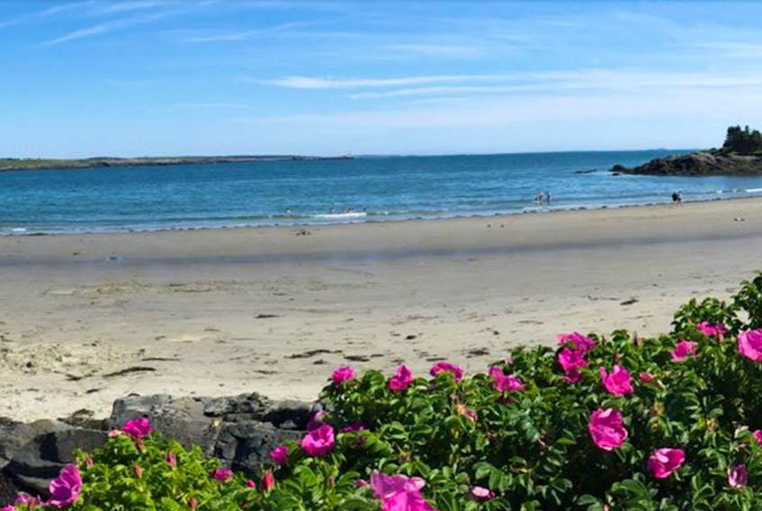 John’s Cove Beach is one of the more popular beaches in the region, that is not tested for bacteria levels. Port Maitland and Mavillette beaches are tested regularly for high bacteria levels by the province during the summer.