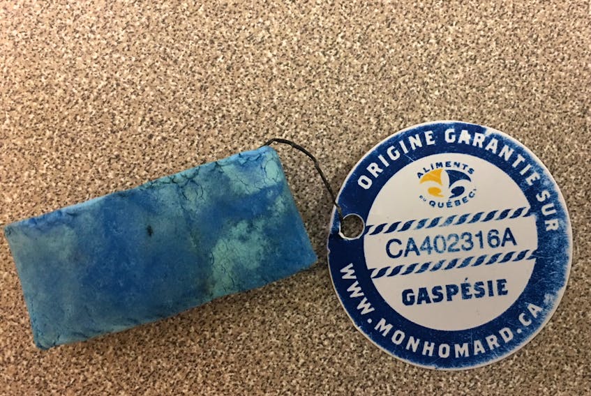 A lobster band from Gaspésie, Quebec was found on Outer False Harbour beach.