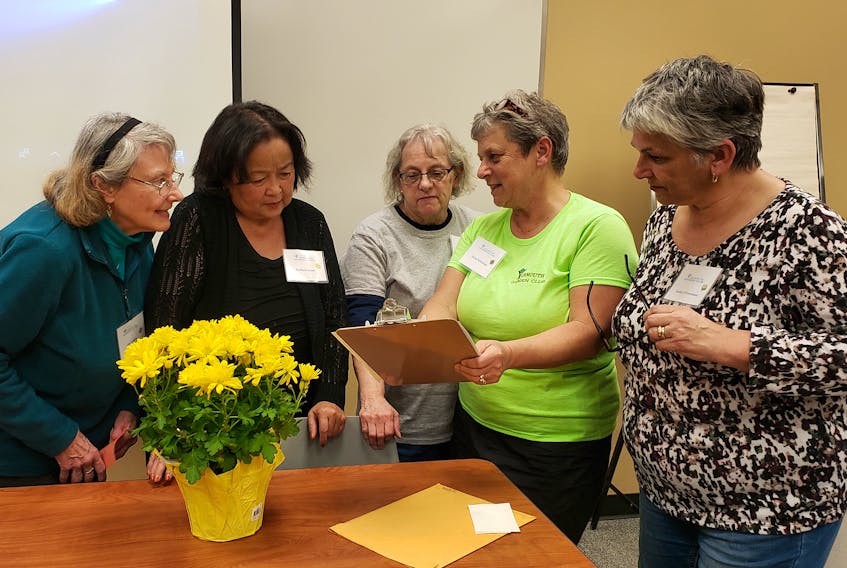 Garden club business discussed by Ann LeBlanc (chair for plant sale) on far left, Cerliana Hood (treasurer), Eileen Watkins (secretary), Alvina Robicheau (president) and Kathy d'Entremont (hospitality).