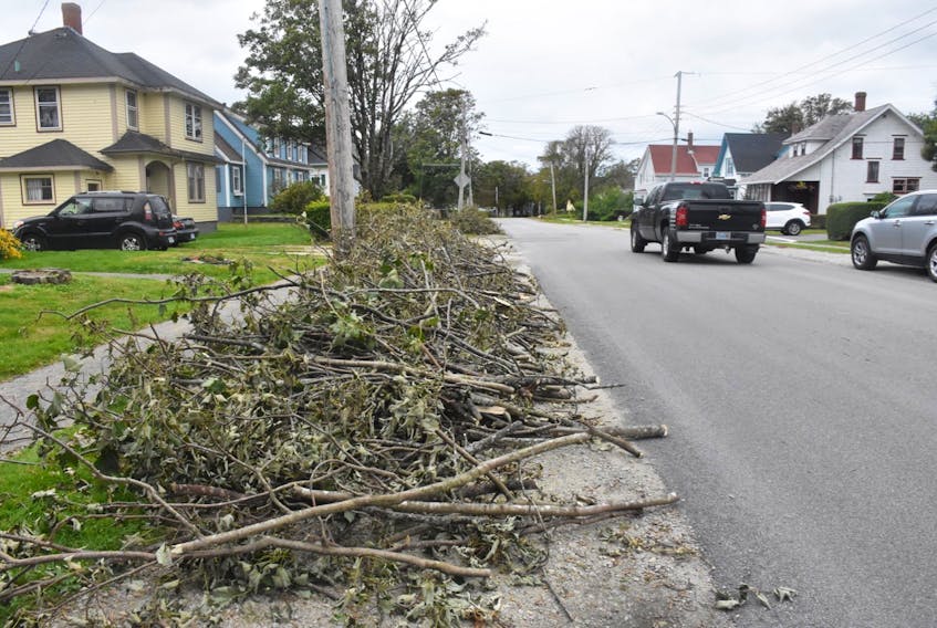 Dorian cleanup continues. Branches being picked up by the Town of Yarmouth starting on Sept. 16.