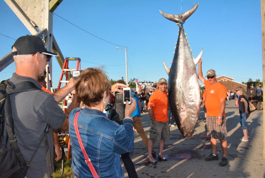 Father and son Michel and Jimmy d’Entremont have photos taken with the 703-pound tuna landed aboard the fishing vessel Capitaine Simon during the 2017 tournament. TINA COMEAU PHOTO