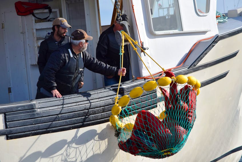 Volunteer diver Brandon Fitzgerald from the Nova Scotia Fisheries Sector Council is hoisted up out of the water in a Pubnico ring, by the crew of the Good a Nuff I, during a man overboard drill on the Clark’s Harbour wharf on Nov. 8. KATHY JOHNSON PHOTO