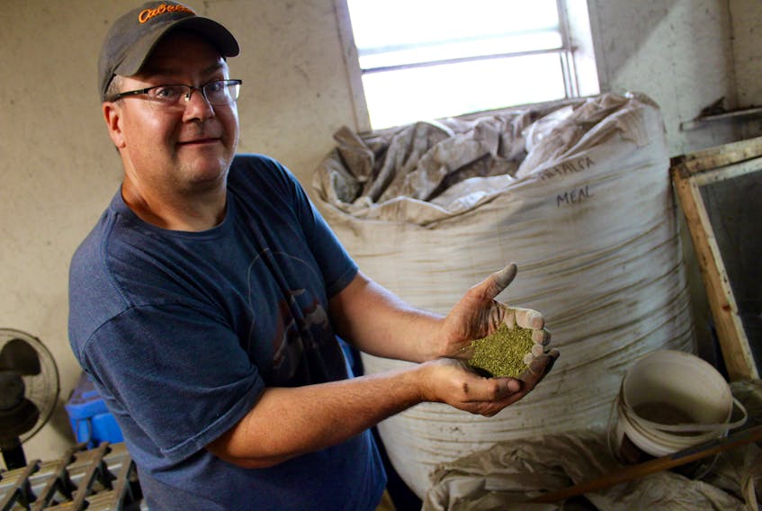 Neil LeBlanc, owner of Growing Green Earthworm Castings, holds a handful of alfalfa meal, one of a dozen organic additions to Kryptonite, a specially formulated growing soil for marijuana.