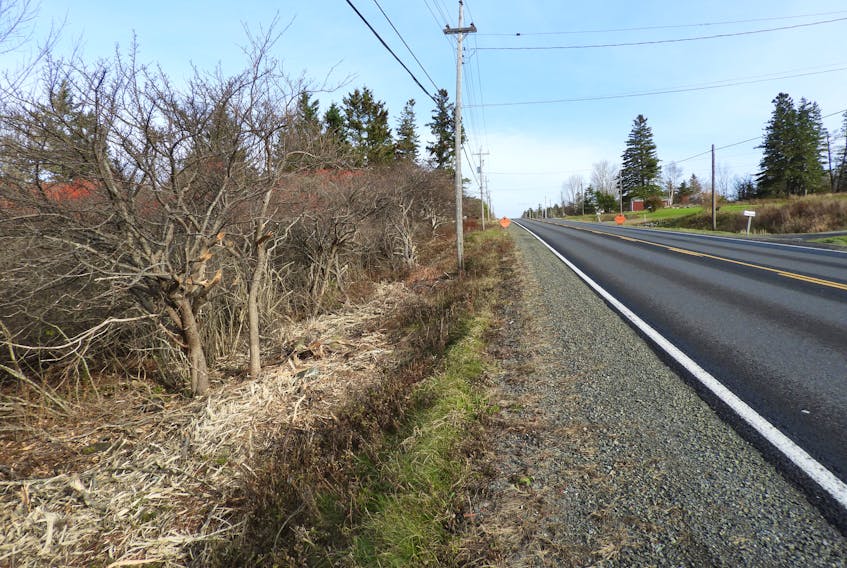 A view of recent brush cutting on Highway 101 near Barton, between Digby and Weymouth. JAMES MALLORY