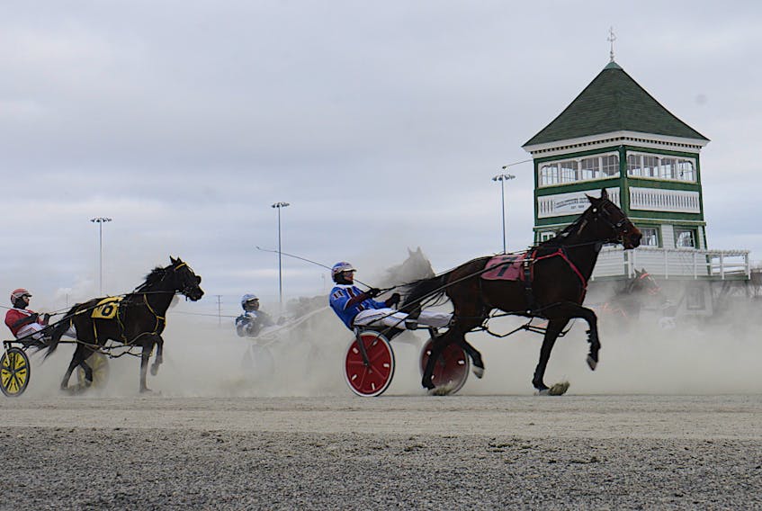 Horses race through the dust at the beginning of Race 1 Saturday at Red Shores at the Charlottetown Driving Park.