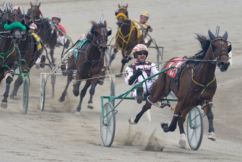 Half Cut, with Mark Bradley in the bike, set a new two-year-old pacing colt track record in 2017 at Red Shores at the Charlottetown Driving Park.