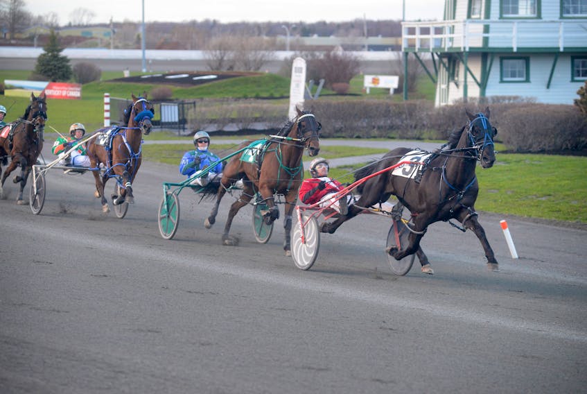David Dowling and Euchred lead the field Saturday in the feature race at Red Shores at the Charlottetown Driving Park.