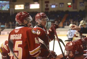 Zach Biggar, left, and Cole Larkin listen to a coach during a game at the Eastlink Centre in the 2019-20 Quebec Major Junior Hockey League season.