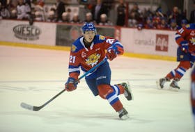 Cornwall's Jordan Spence is in his second season with the Moncton Wildcats of the Quebec Major Junior Hockey League.