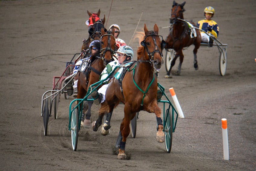 Majian Chester, with James Ripley in the sulky, leads the field around the turn Thursday in Race 4 at Red Shores at the Charlottetown Driving Park.