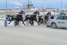 The horses are ready for the gates to swing open for the start of Race 8 Saturday at Red Shores at the Charlottetown Driving Park during the final card of the winter meet.