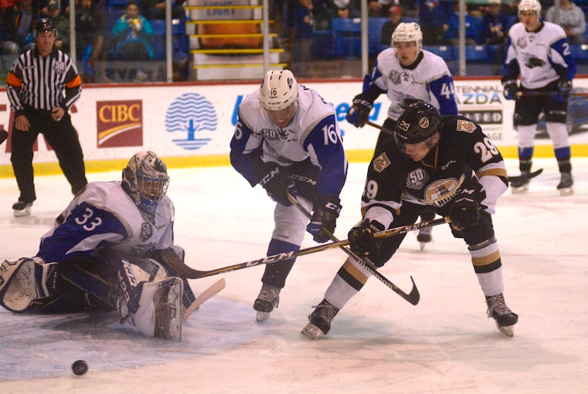 Charlottetown Islanders forward Cole Edwards' shot goes just wide as Saint John Sea Dogs goalie Alex D'Orio is down and teammate Nicholas Deakin-Poot tries to tie up Edwards during Friday's Quebec Major Junior Hockey League game at the Eastlink Centre.