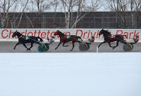 Horses race at Red Shores at the Charlottetown Driving Park earlier this month.