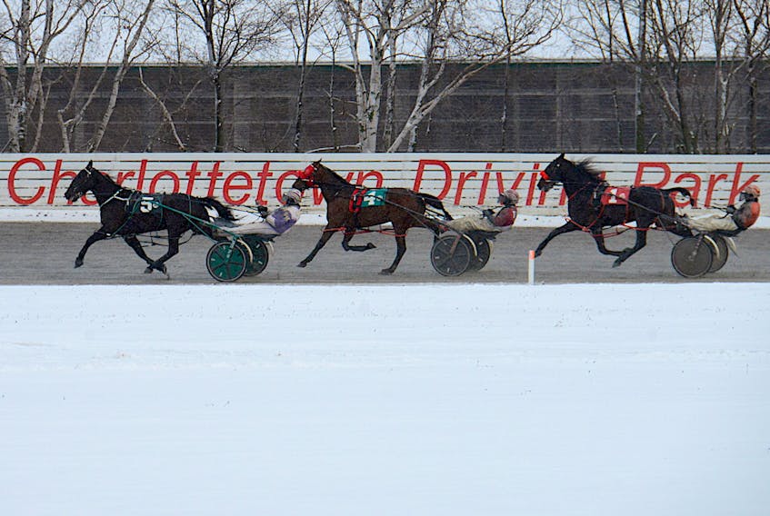 Horses race at Red Shores at the Charlottetown Driving Park earlier this month.